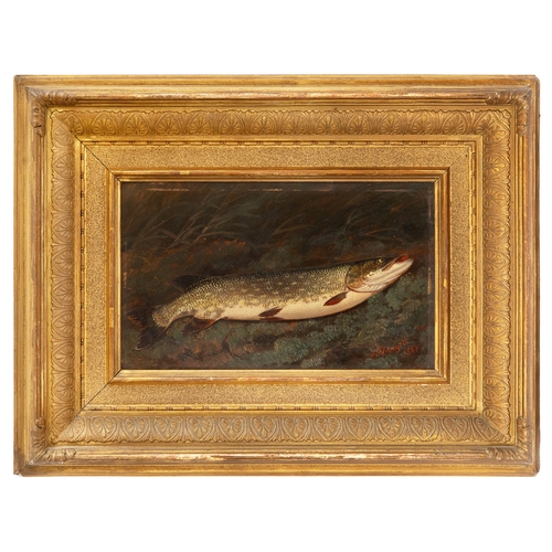 224 - Property of a GentlemanJ.G. Jangett19th CenturyA pike on a bank, dated 1887Oil on artist boardSigned... 