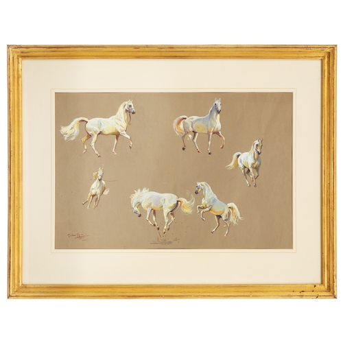 301 - Property of a GentlemanMichael Lyne (1912 - 1989)An Arabian stallion in six positions, 1947 Watercol... 