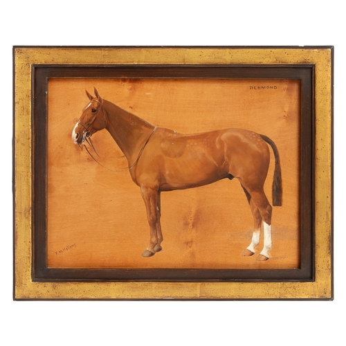 215 - Property of a Gentleman F. M. Hollams (1877 - 1963)A portrait of the horse 'Desmond'Oil on pane... 