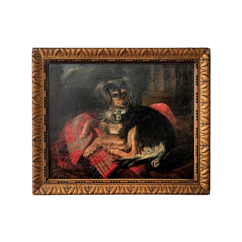 219 - Property of a GentlemanA collared dog resting on a tartan blanket Oil on canvasGallery label ve... 