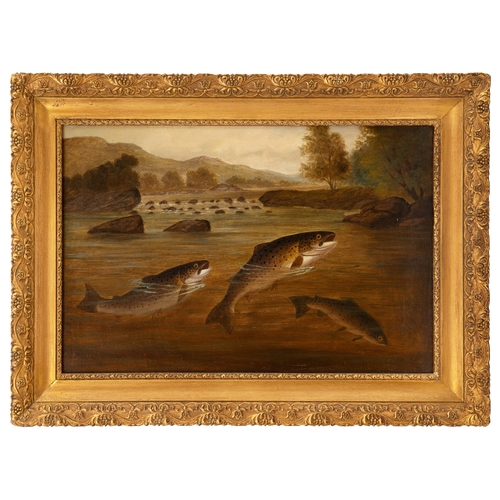 223 - Property of a GentlemanA. Roland Knight19th CenturyBrown trout in a streamOil on canvasSigned lower ... 