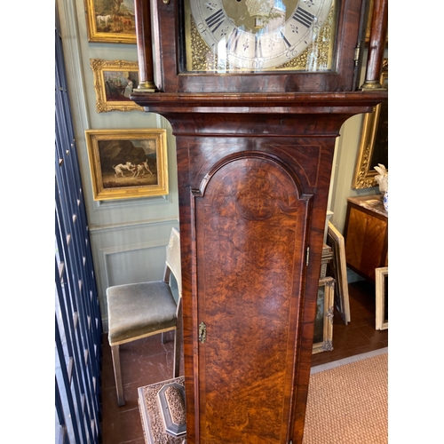 456 - Queen Anne grandfather clock By Peter KingBurr walnutDimensions:84 in. (H) x 18 in. (W) x 9 in. (D)... 