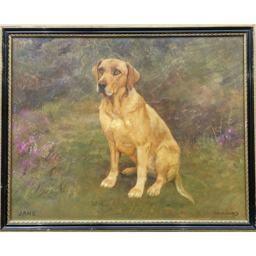 215A - Property of a GentlemanF. M. Hollams (1877 - 1963)Portrait of a labradorOil on artist boardDimension... 