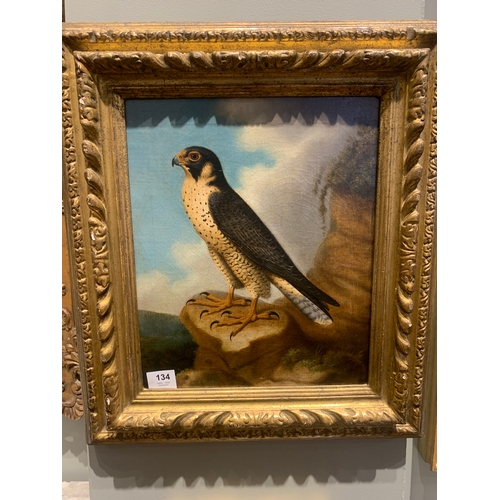 134 - Property of a GentlemanJohn Christopher Christman (c. 1766 - 1803)A Peregrine Falcon resting on a st... 