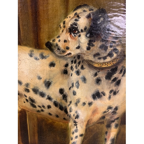 278 - Property of a GentlemanAdrienne Lester (1870 - 1955)Signed '1896'A portrait of a DalmatianOil on can... 