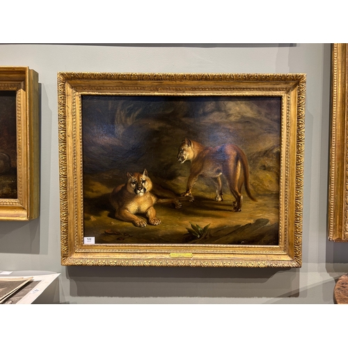 122 - Property of a GentlemanWilliam Huggins (1820 - 1884)Two pumas in a landscapeOil on panelSigned and d... 