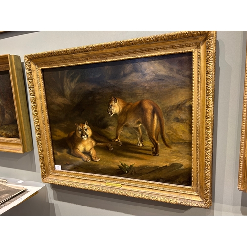 122 - Property of a GentlemanWilliam Huggins (1820 - 1884)Two pumas in a landscapeOil on panelSigned and d... 