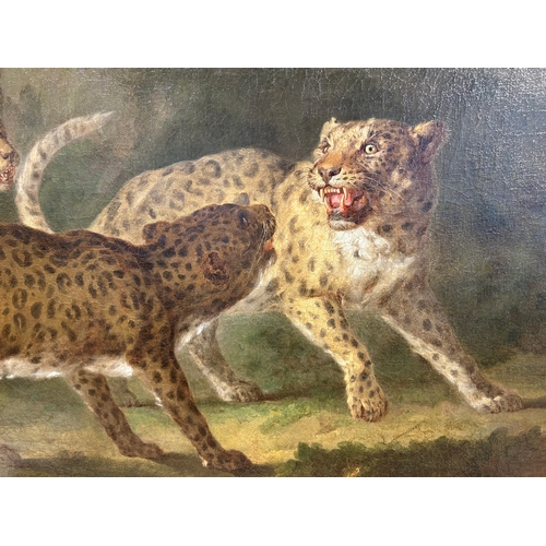 123 - Property of a GentlemanMartin Ferdinand Quadal (1736 - 1808)Three leopards in a landscapeOil on canv... 