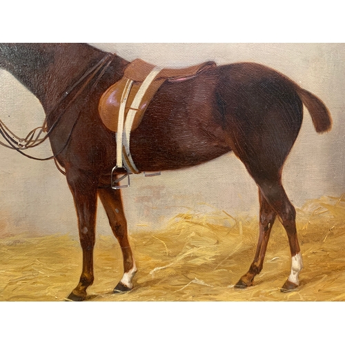 210 - Property of a GentlemanAnthony de Bree (1855 - 1921)A thoroughbred in a stableOil on canvasDimension... 