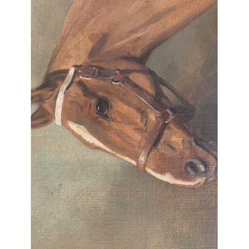 216 - Property of a GentlemanAlfred G. Haigh (1870 - 1963)Signed 1918An equine portraitOil on panelDimensi... 