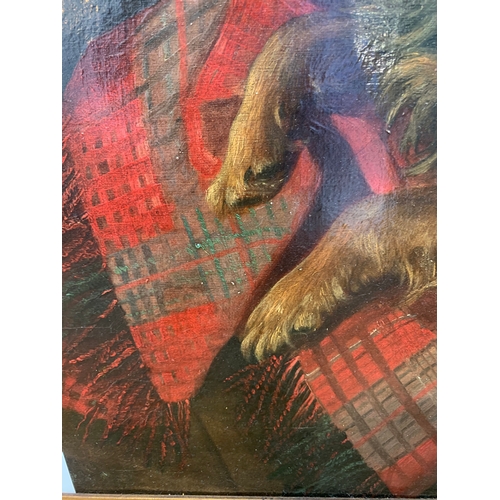 219 - Property of a GentlemanA collared dog resting on a tartan blanket Oil on canvasGallery label ve... 