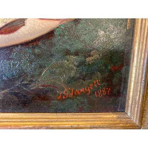 224 - Property of a GentlemanJ.G. Jangett19th CenturyA pike on a bank, dated 1887Oil on artist boardSigned... 