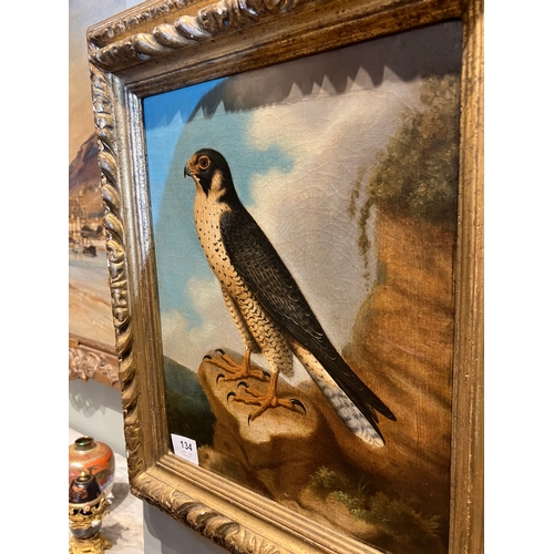 134 - Property of a GentlemanJohn Christopher Christman (c. 1766 - 1803)A Peregrine Falcon resting on a st... 