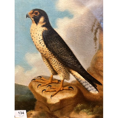 134 - Property of a GentlemanJohn Christopher Christman (c. 1766 - 1803)A Peregrine Falcon resting on a st... 