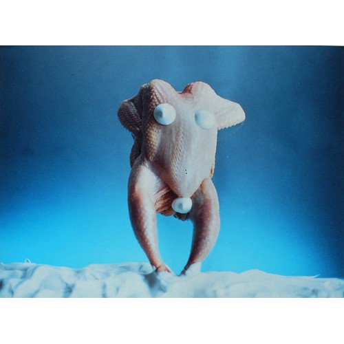 88A - Carina WeidleEverest (1995)RA4 colour print, aluminium mountedTo be sold without reserveProperty of ... 