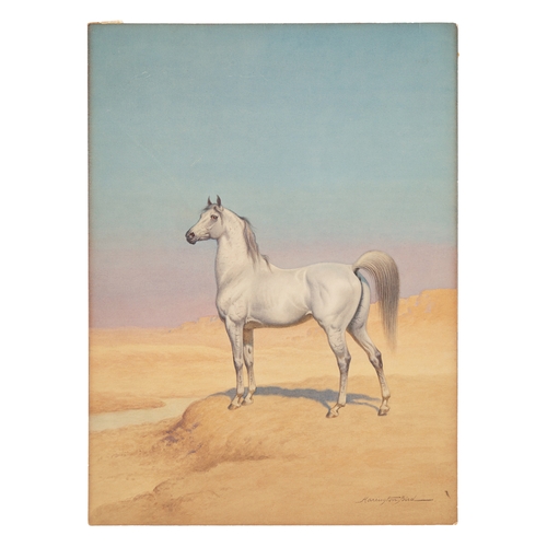 446 - Property of a Lady John Alexander Harrington Bird (1846 - 1936)A grey Arab stallionPencil and waterc...