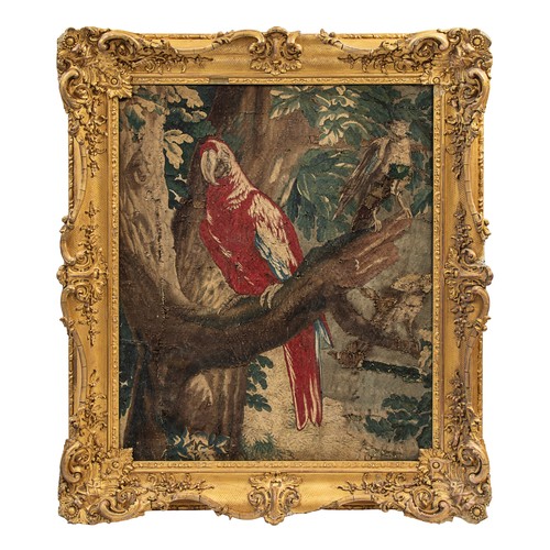 529A - 17th CenturyA tapestry fragment of a parrot in a wooded gladeIn a gilded 19th century composition fr... 