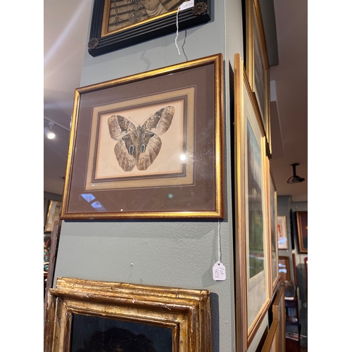 405 - Late 18th centuryA butterfly studyWatercolour on paperProperty of a noblemanDimensions:(Paper) 5.5 i... 