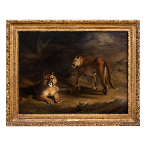 445 - William Huggins (1820 - 1884)Two pumas in a landscapeOil on panelSigned and dated, 'W. Huggins 1840'... 