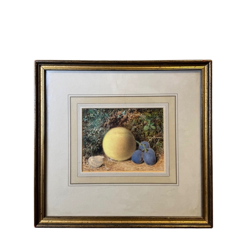 585 - William Carter (1863-1939)Still life with a seashellPastel on paperDimensions:(Frame) 12.5 in. (H) x... 