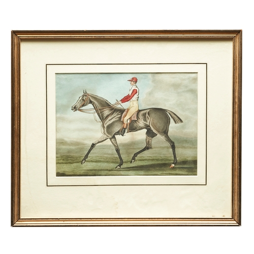 609 - James Pollard (1792 - 1867)Racing Horse with Jockey up, Gustavus ridden by S. DayWatercolour on pape... 