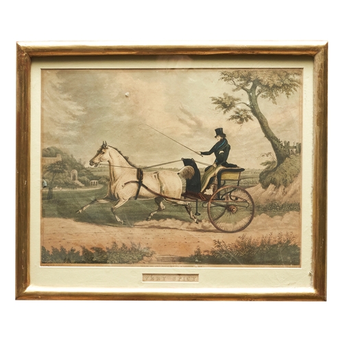 609 - James Pollard (1792 - 1867)Racing Horse with Jockey up, Gustavus ridden by S. DayWatercolour on pape... 