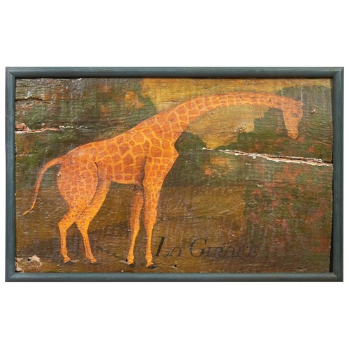 461A - French School18th centuryOil on panelA portrait of a giraffe, inscribed lower right 