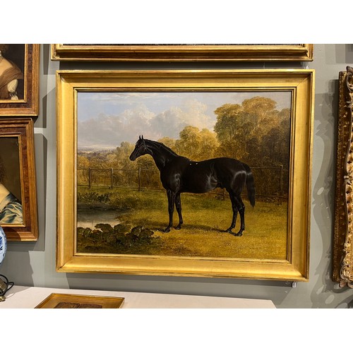 399 - John Frederick Herring Sr. (1795 - 1865), Portrait of the thoroughbred stallion Sheet Anchor, the Pr... 