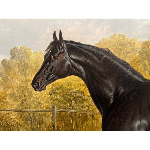 399 - John Frederick Herring Sr. (1795 - 1865), Portrait of the thoroughbred stallion Sheet Anchor, the Pr... 