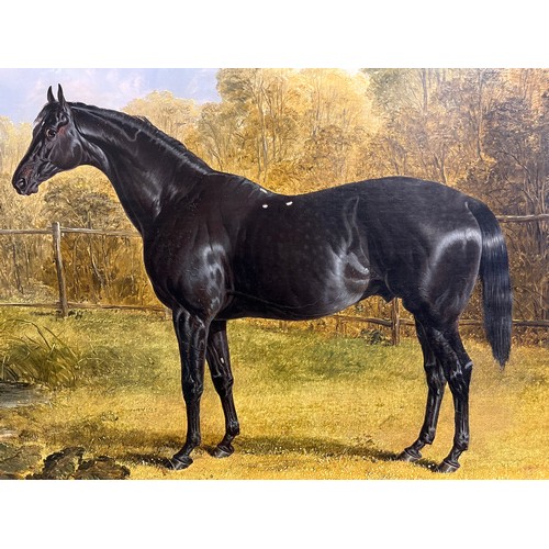 399 - John Frederick Herring Sr. (1795 - 1865), Portrait of the thoroughbred stallion Sheet Anchor, the Pr... 