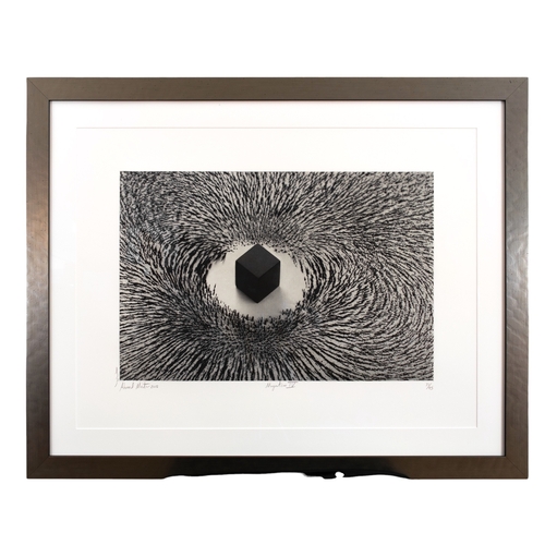 277 - Ahmed Mater (b. 1979Magnetism IV, 2012Photographic print on paperNumbered 31/45Signed and inscribed ... 