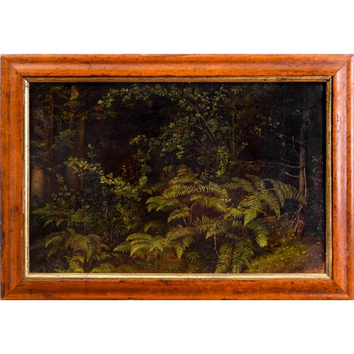 361 - British19th CenturyA study of fernsOil on canvasIn a walnut frameLabel verso, 'Jan Both 1618 - ... 