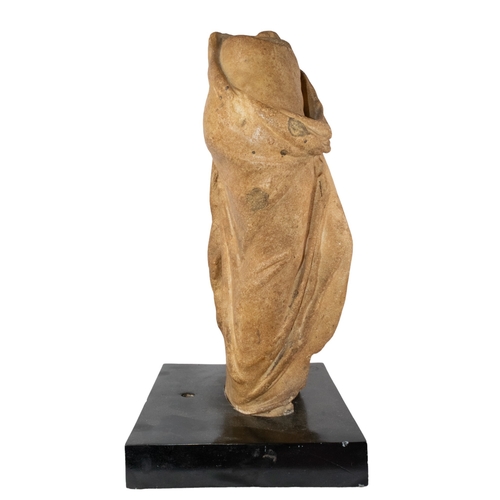 295 - Roman, 1st/2nd CenturyA fragment of a statue of Venus' lower bodyOn a wood baseDimensions:Total: 17 ... 