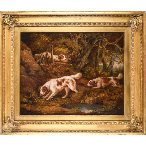 221 - Ramsay Richard Reinagle RA (British, 1775 - 1862)Spaniel and Pointers, Circa 1790A pairOil on P... 