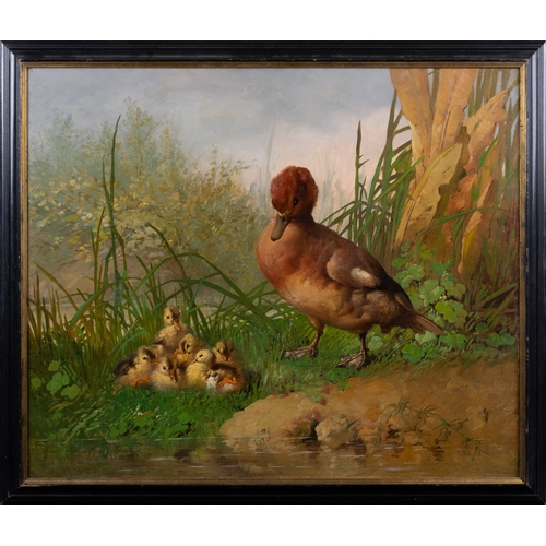 346 - Narcisse Vivien (French, active late 19th century)Mother duck and ducklingsOil on canvasSigned 'Vivi... 