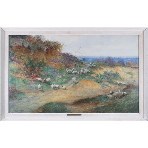 347 - Alfred William Parsons (English, 1847-1920)Landscape with SheepWatercolourDimensions:(Frame) 24.5 in... 