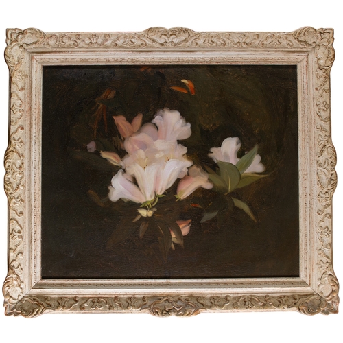 356 - Stuart Park (Scottish, 1862-1933)A Still Life of White LiliesOil on canvasSigned indistinctly twice ... 