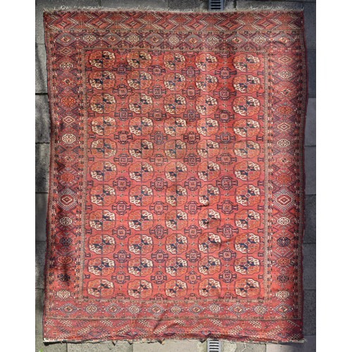 144 - Afghan, a Bokhara carpetDimensions:123 in. (H) x 90 in. (W)