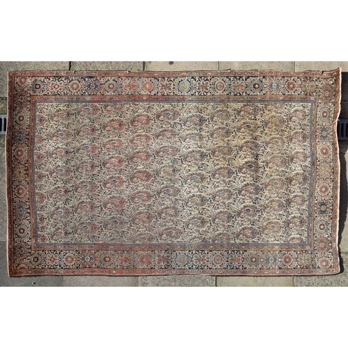 146 - A Persian rugDimensions:77 in. (H) x 51 in. (W)