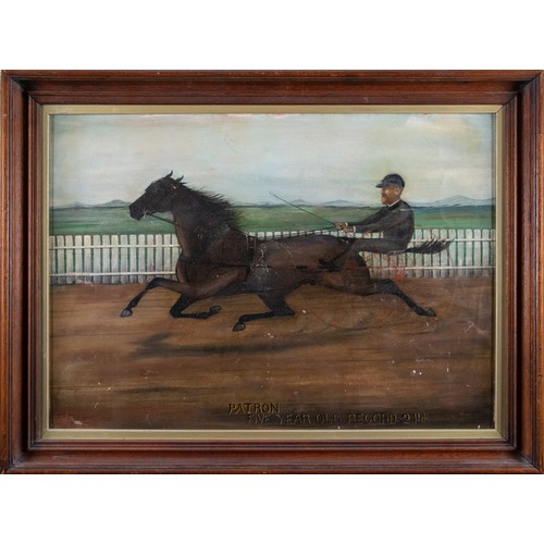 348 - American19th CenturyPortrait of Patron the harness racerOil on boardInscribed 'Patron Five Year Old ... 