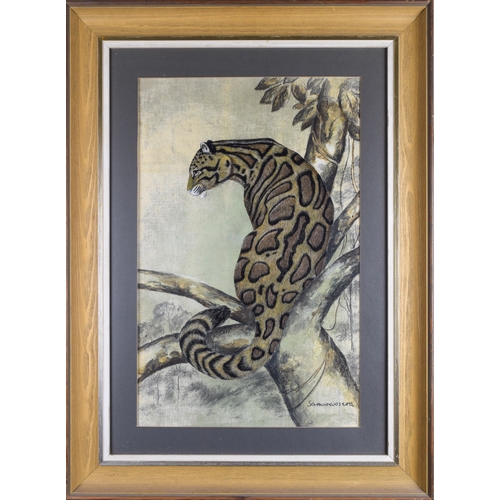 503 - Rama Samaraweera (British, 1926-2021)Clouded leopardc. 1970Watercolour and charcoal on canvasSigned ... 