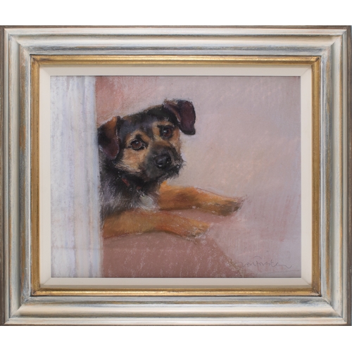 665 - Neil Forster (British, 1939-2016)Two portraits of TerriersPastel on paperDimensions:[a] 25 in. (H) x... 