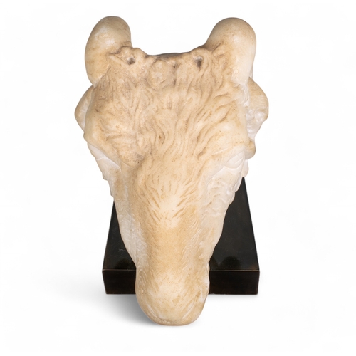 559 - NeoclassicalA finely carved ram's headMarble and mountedDimensions:11 in. (H) x 11.5 in. (L)... 