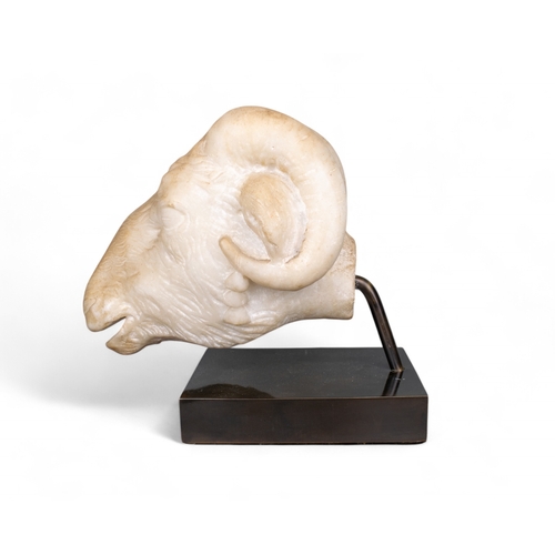 559 - NeoclassicalA finely carved ram's headMarble and mountedDimensions:11 in. (H) x 11.5 in. (L)... 