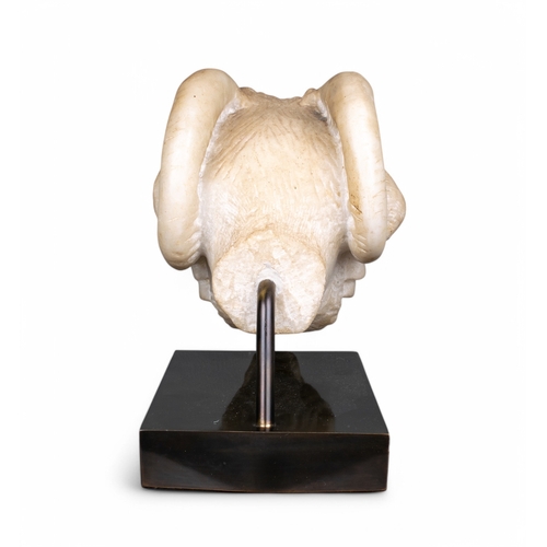 559 - NeoclassicalA finely carved ram's headMarble and mountedDimensions:11 in. (H) x 11.5 in. (L)... 