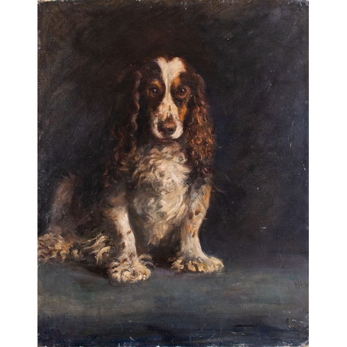 483 - Attributed to Sam Fulton (British, 1855-1941)Portrait of a SpanielOil on canvasProperty of a noblema... 