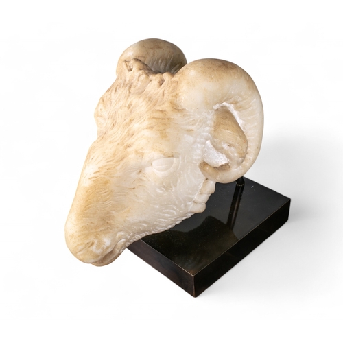 559 - NeoclassicalA finely carved ram's headMarble and mountedDimensions:11 in. (H) x 11.5 in. (L)... 