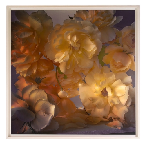 632 - Nick Knight (b.1958)Monday 29th May, 2017 Hand-coated pigment printEdition of 5 with 3 artists proof... 