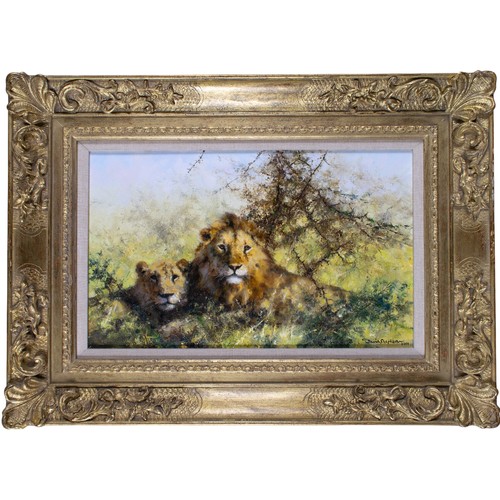 445 - David Shepherd (British 1931-2017)Two Lions2000Oil on canvasSigned and dated 'David Shepherd 2000' l... 