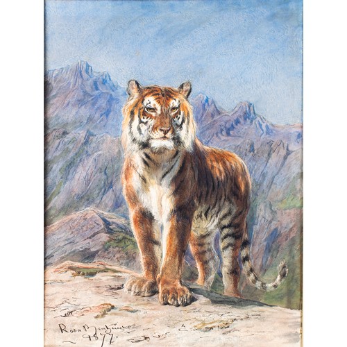 446 - Rosa Bonheur (French, 1822-1899)A Tiger1877Watercolour, ink and pastel on paperSigned and dated lowe... 